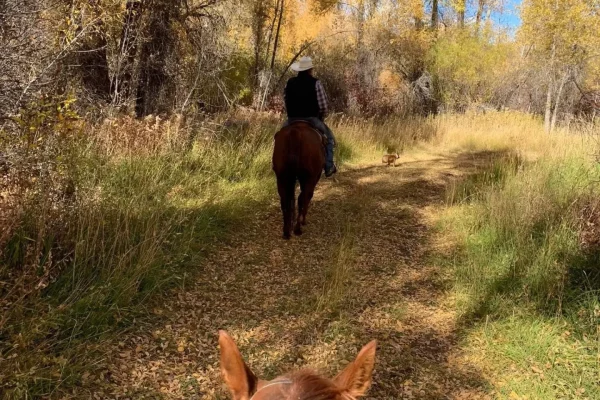Park City Horseback Riding | Boulder Mountain Ranch