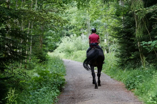 Park City Horseback Riding | Boulder Mountain Ranch