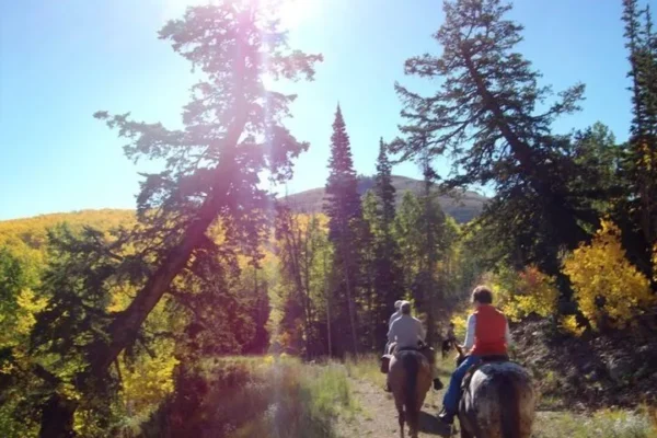Park City Horseback Riding | Boulder Mountain Ranch