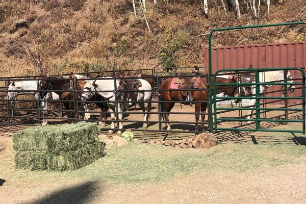 Park City Horseback Riding | Boulder Mountain Ranch