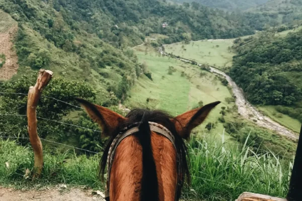 Park City Horseback Riding | Boulder Mountain Ranch