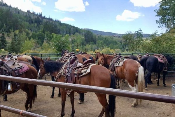 Park City Horseback Riding | Boulder Mountain Ranch