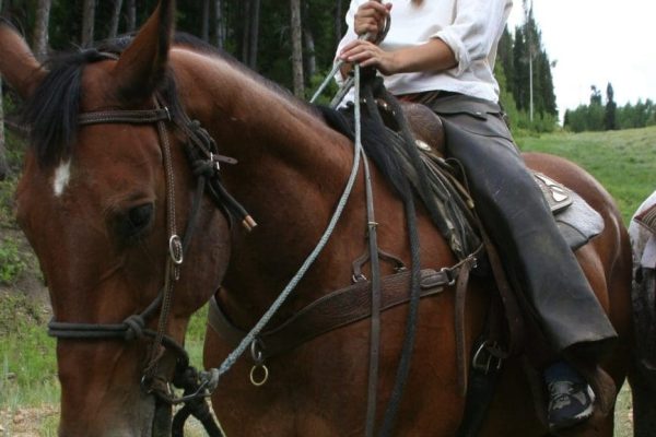 Park City Horseback Riding | Boulder Mountain Ranch