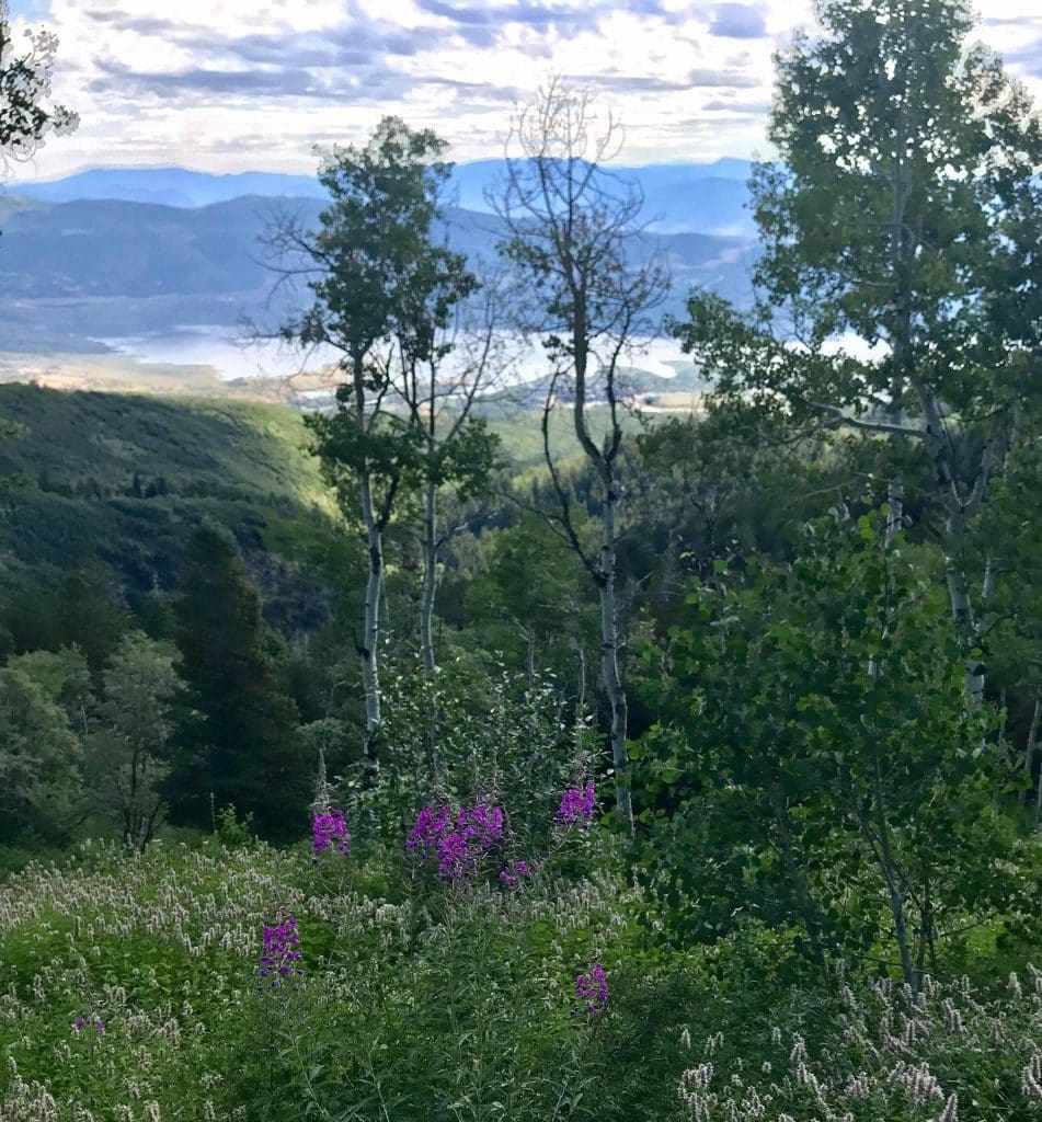 Park City Horseback Riding | Boulder Mountain Ranch