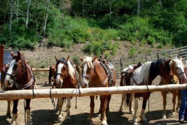 Park City Horseback Riding | Boulder Mountain Ranch