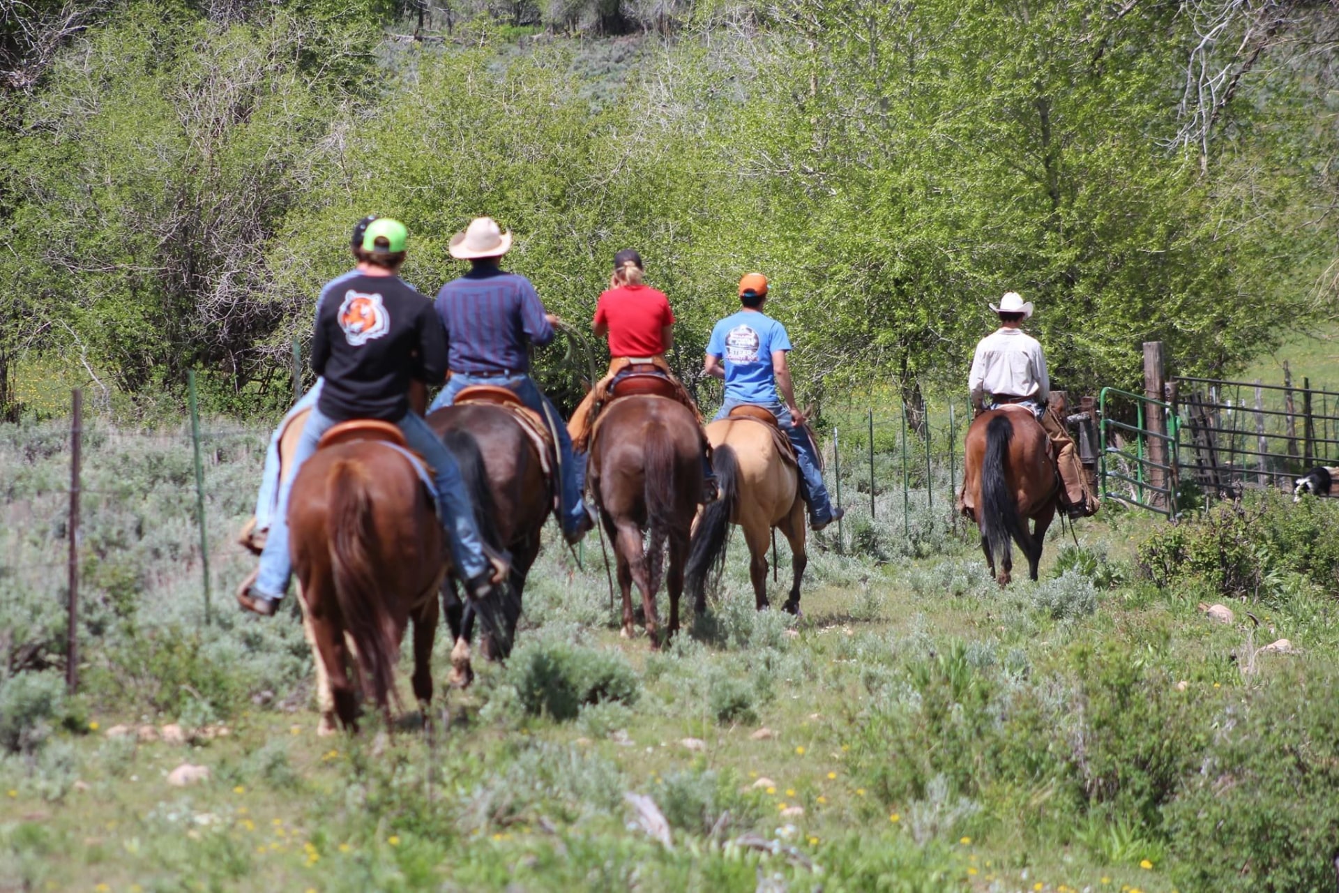 About Our Ranch & Park City Horseback Riding | Boulder Mountain Ranch