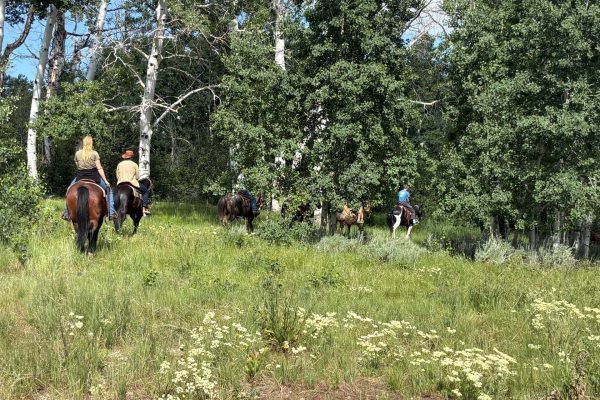 Park City Horseback Riding | Boulder Mountain Ranch