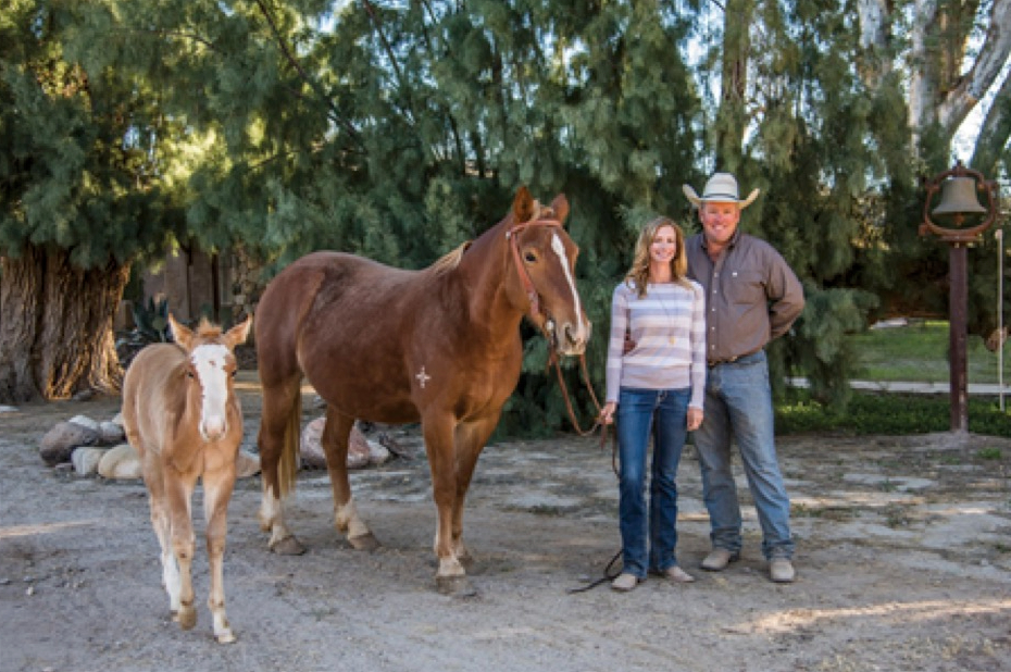 Park City Horseback Riding | Boulder Mountain Ranch